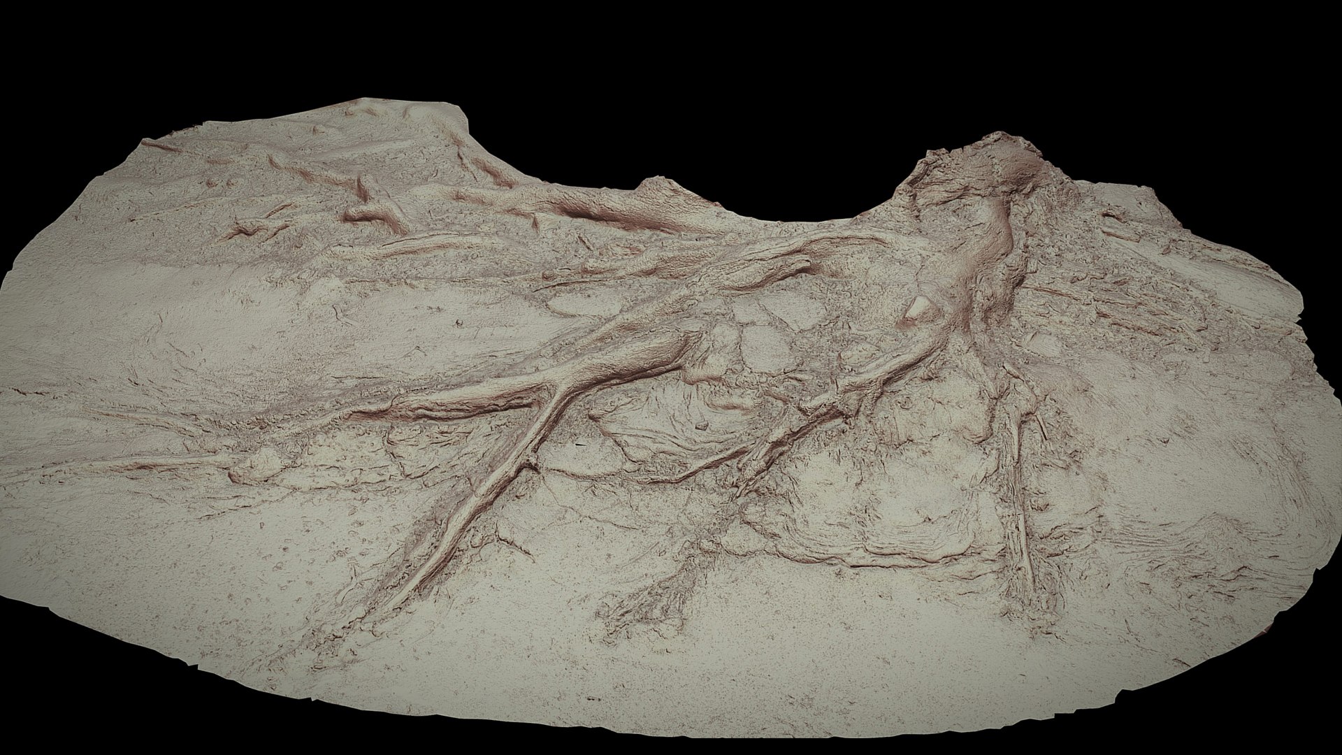 Roots Asphalt Damaged Road Part1 Photogrammetry 3D Model - TurboSquid ...