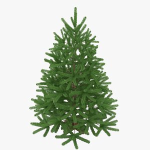 3d model fir tree