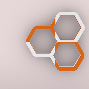 bookshelf honeycombs model