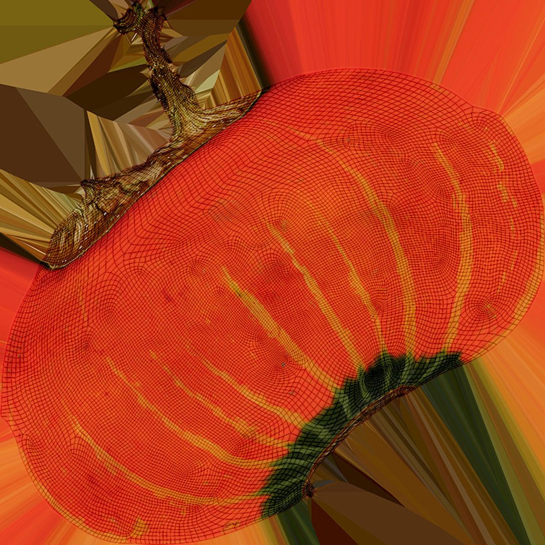 3D Pumpkin Whole Collection https://p.turbosquid.com/ts-thumb/gw/AULQZh/5C/pumpkin_d0004/jpg/1710131589/1920x1080/fit_q87/a56dc711f0b455dec102417658d5c47271184dde/pumpkin_d0004.jpg