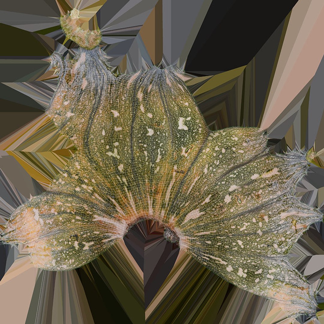 3D Pumpkin Whole Collection https://p.turbosquid.com/ts-thumb/gw/AULQZh/Go/asipumpkin_d0004/jpg/1716982715/1920x1080/fit_q87/738e737ac622435127d9d7228e01e4fb68c5b777/asipumpkin_d0004.jpg