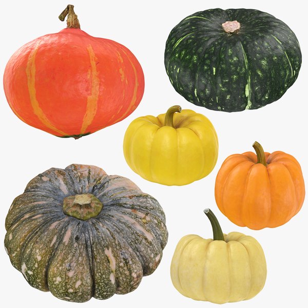 3D Pumpkin Whole Collection