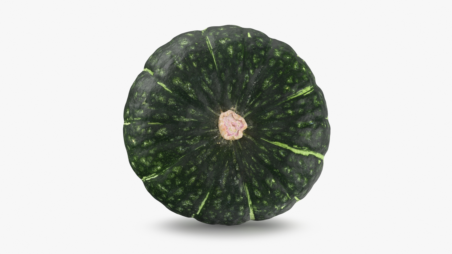 3D Pumpkin Whole Collection https://p.turbosquid.com/ts-thumb/gw/AULQZh/kH/g_pumpkin/jpg/1703086278/1920x1080/turn_fit_q99/40b9dcde056f9e94a57a5e32a623d0e3691834d8/g_pumpkin-1.jpg