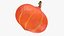 Kürbis-Gesamtkollektion