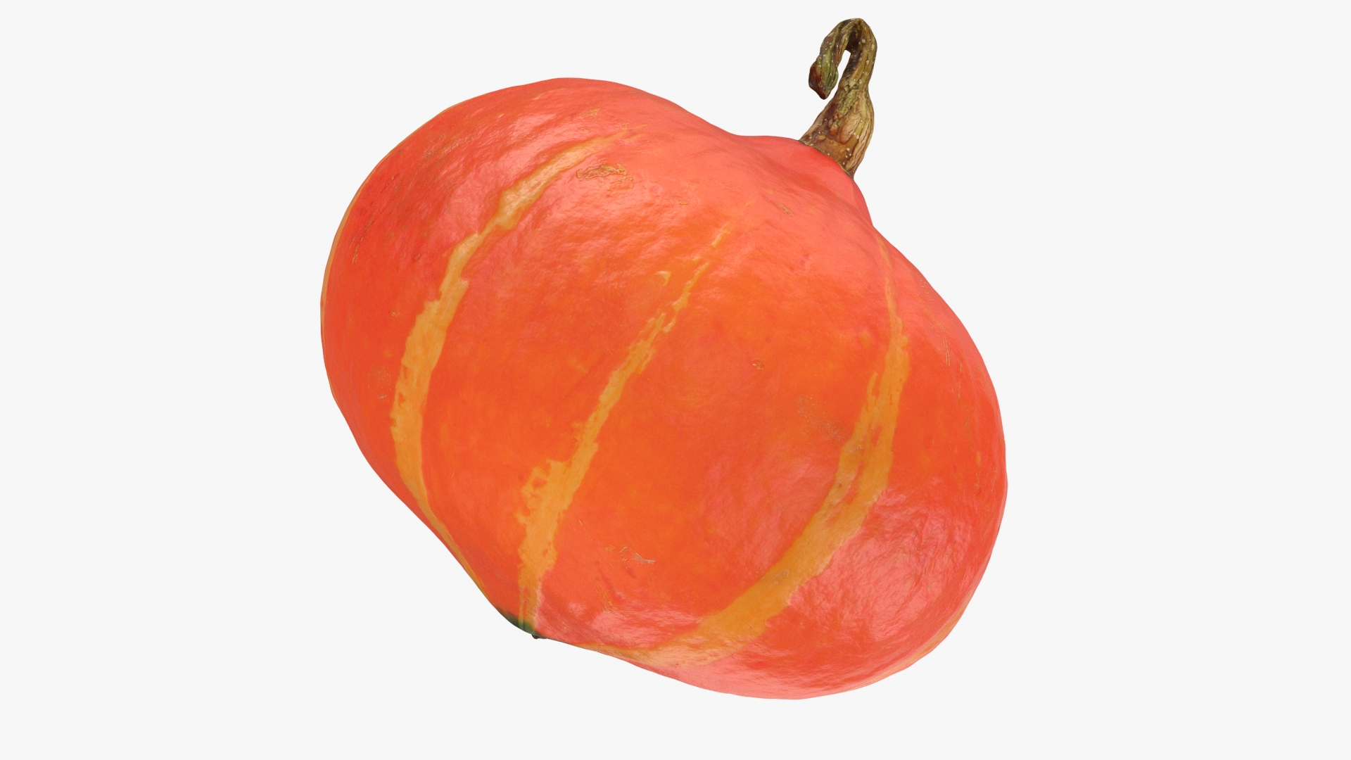 3D Pumpkin Whole Collection https://p.turbosquid.com/ts-thumb/gw/AULQZh/rG/pumpkin/jpg/1710131596/1920x1080/turn_fit_q99/38755996cf2c15baf01115f60307f6ace27279c2/pumpkin-1.jpg