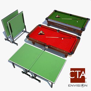 Ping Pong and Pool Tables