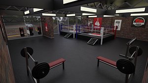 3D boxing studio - training