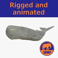 sperm whale