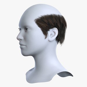 Slicked Back Mohawk Undercut Brown Hair 3D Asset 3D model