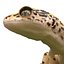 3d leopard gecko pose 4 model