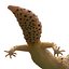 3d leopard gecko pose 4 model