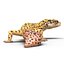 3d leopard gecko pose 4 model