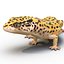 3d leopard gecko pose 4 model