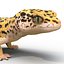 3d leopard gecko pose 4 model