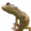 3d leopard gecko pose 4 model