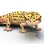 3d leopard gecko pose 4 model