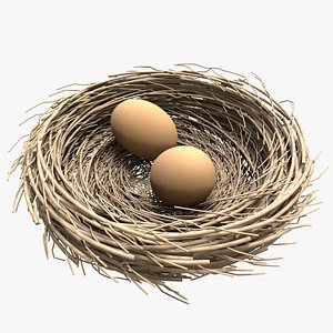 3d model nest egg 2