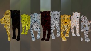 9 Leopards model