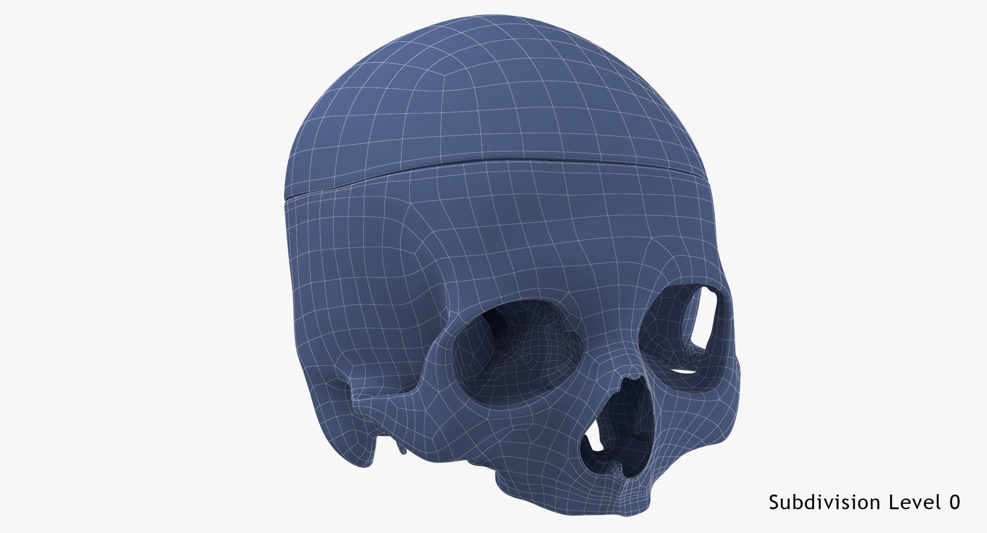 3D human skull cranial 02 https://p.turbosquid.com/ts-thumb/gx/Bgic03/EhXzS0ga/human_skull_cranial_02_cut_with_piece_white_wsubdiv0_0001/jpg/1591704797/1920x1080/fit_q87/9b49a309a5c57dc2199d2cf3935e1586990c0272/human_skull_cranial_02_cut_with_piece_white_wsubdiv0_0001.jpg