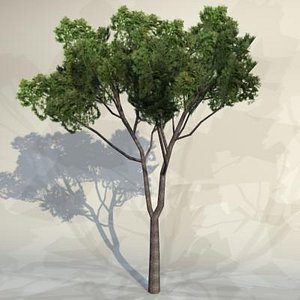 pc tree 3d model