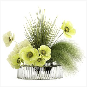 Bouquet Of Green Flowers Poppy And Grass In Glass 603