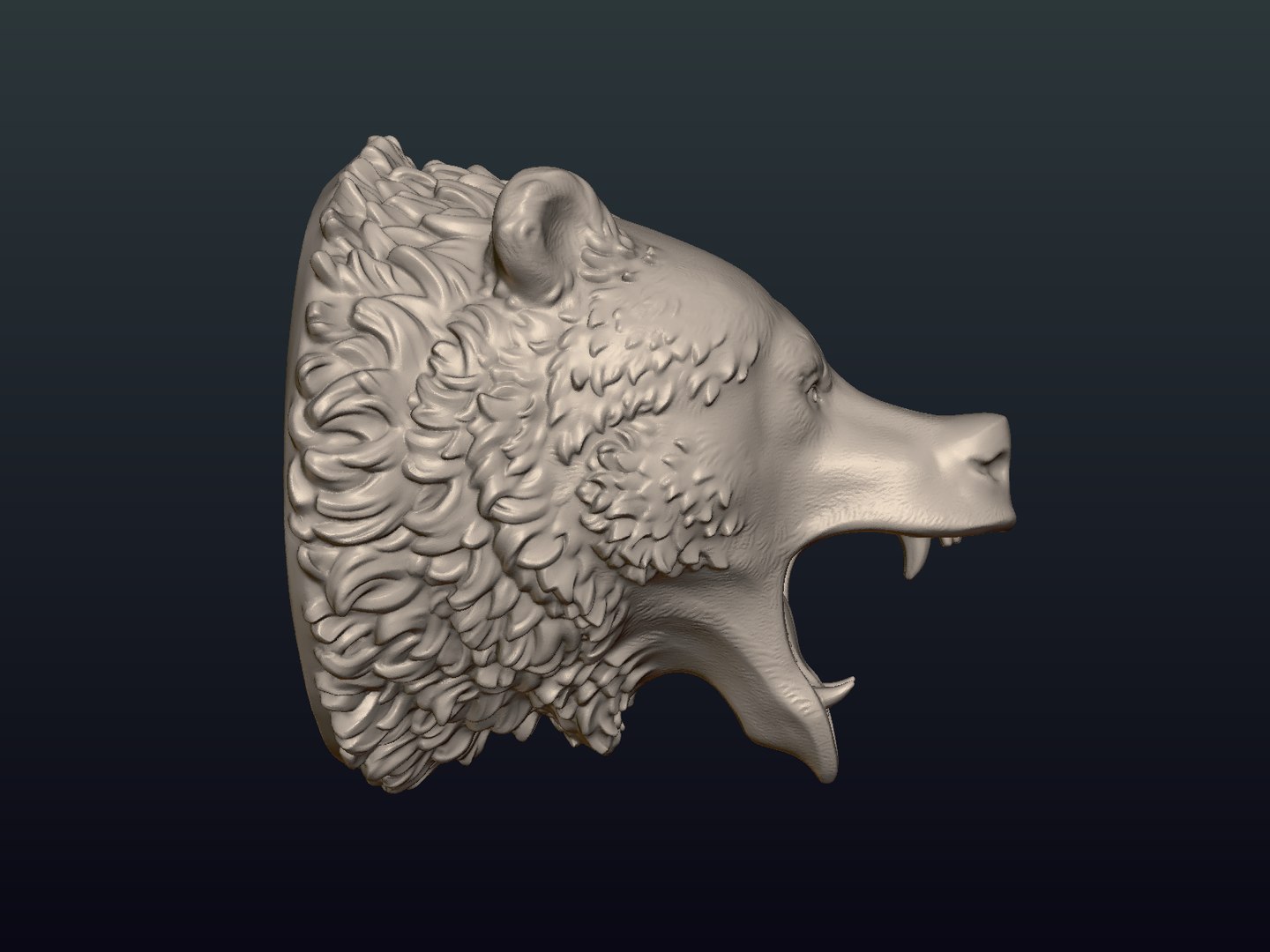 bear head 3D model https://p.turbosquid.com/ts-thumb/gx/beC5pF/Rusx6h1B/bear_head12/png/1522672296/1920x1080/fit_q87/d28b0c22c0caa79879a061c97d5173297a3fd69c/bear_head12.jpg
