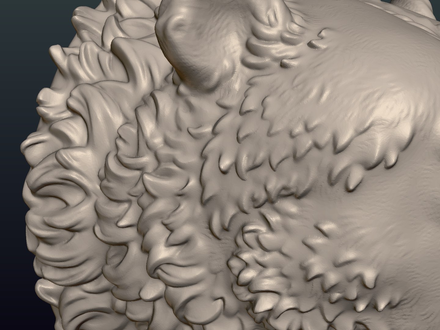 bear head 3D model https://p.turbosquid.com/ts-thumb/gx/beC5pF/ZgMLjhCR/bear_head15/png/1522672296/1920x1080/fit_q87/76fd9608ee404b7c8fa9556da1b615ab3115ddd5/bear_head15.jpg