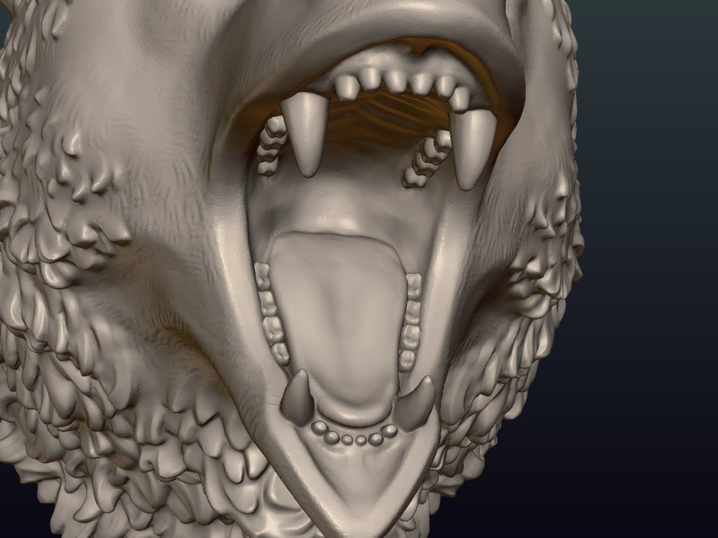 bear head 3D model https://p.turbosquid.com/ts-thumb/gx/beC5pF/cI4X4ZDD/bear_head14/png/1522672296/1920x1080/fit_q87/b28f8f7913438850a77fe42c229aeac33df56884/bear_head14.jpg