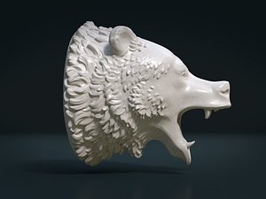 Head of bear