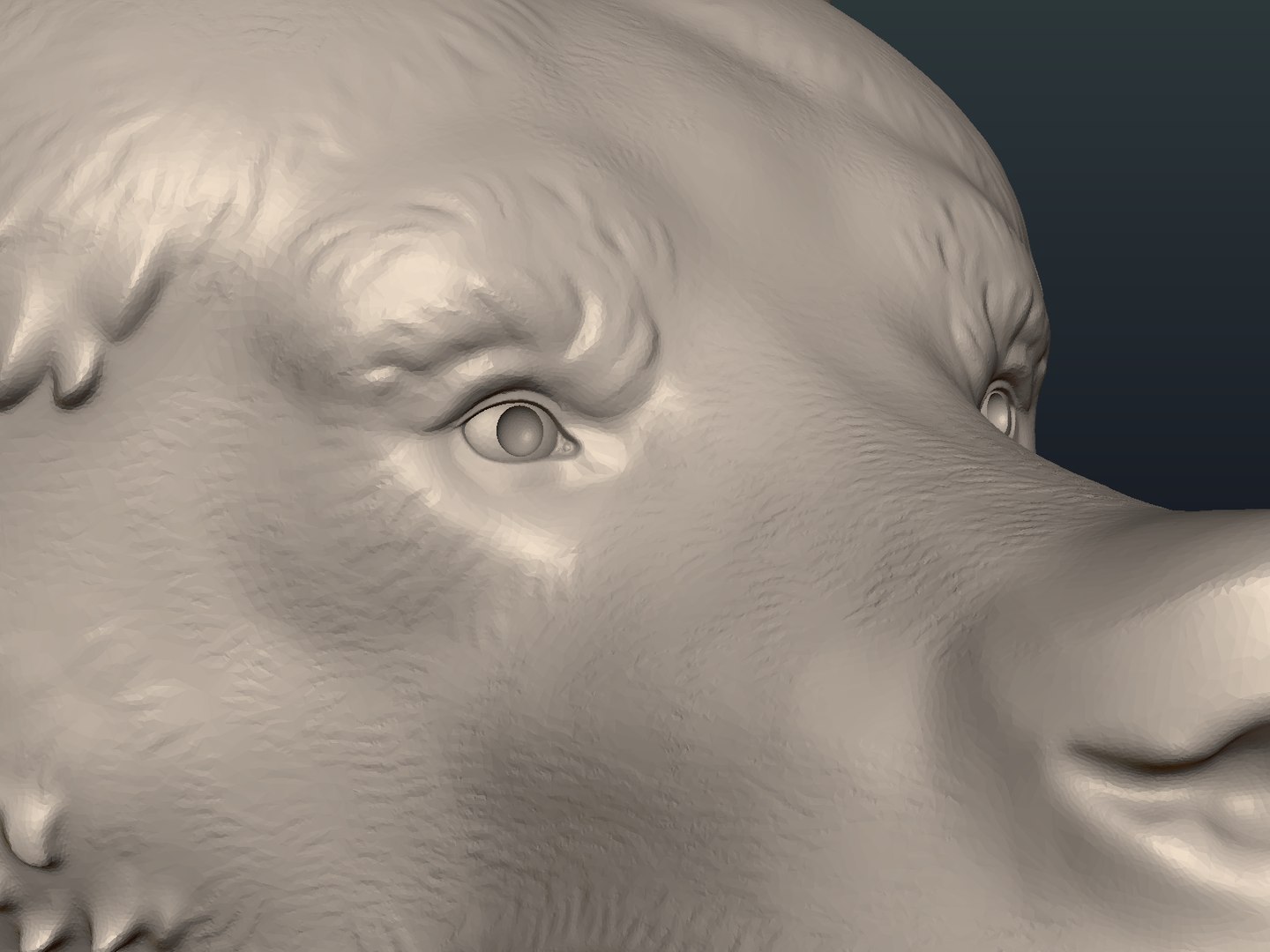 bear head 3D model https://p.turbosquid.com/ts-thumb/gx/beC5pF/vK0zjl9i/bear_head13/png/1522672296/1920x1080/fit_q87/552177d04d90d3f812c7d5d6b7396ca9cf1a822a/bear_head13.jpg