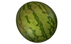 3D model watermelon fruits