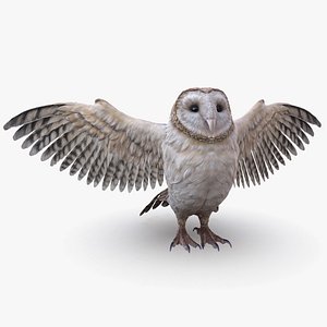 Barn Owl Low Poly Game Ready