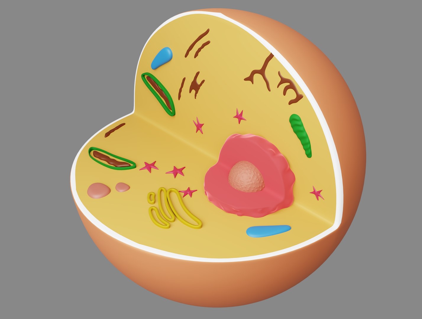 3D Cell Animal Model - TurboSquid 1490417