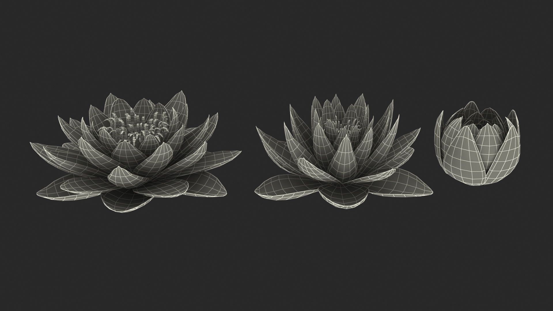 Nymphaea Colorado Pink Lily Kit 3D model https://p.turbosquid.com/ts-thumb/gy/UWVAhQ/1s/nymphaea_colorado_pink_lily_set_361/jpg/1776912216/1920x1080/turn_fit_q99/a09880dc8d85fe1130c18585060f3146c87e3f74/nymphaea_colorado_pink_lily_set_361-1.jpg