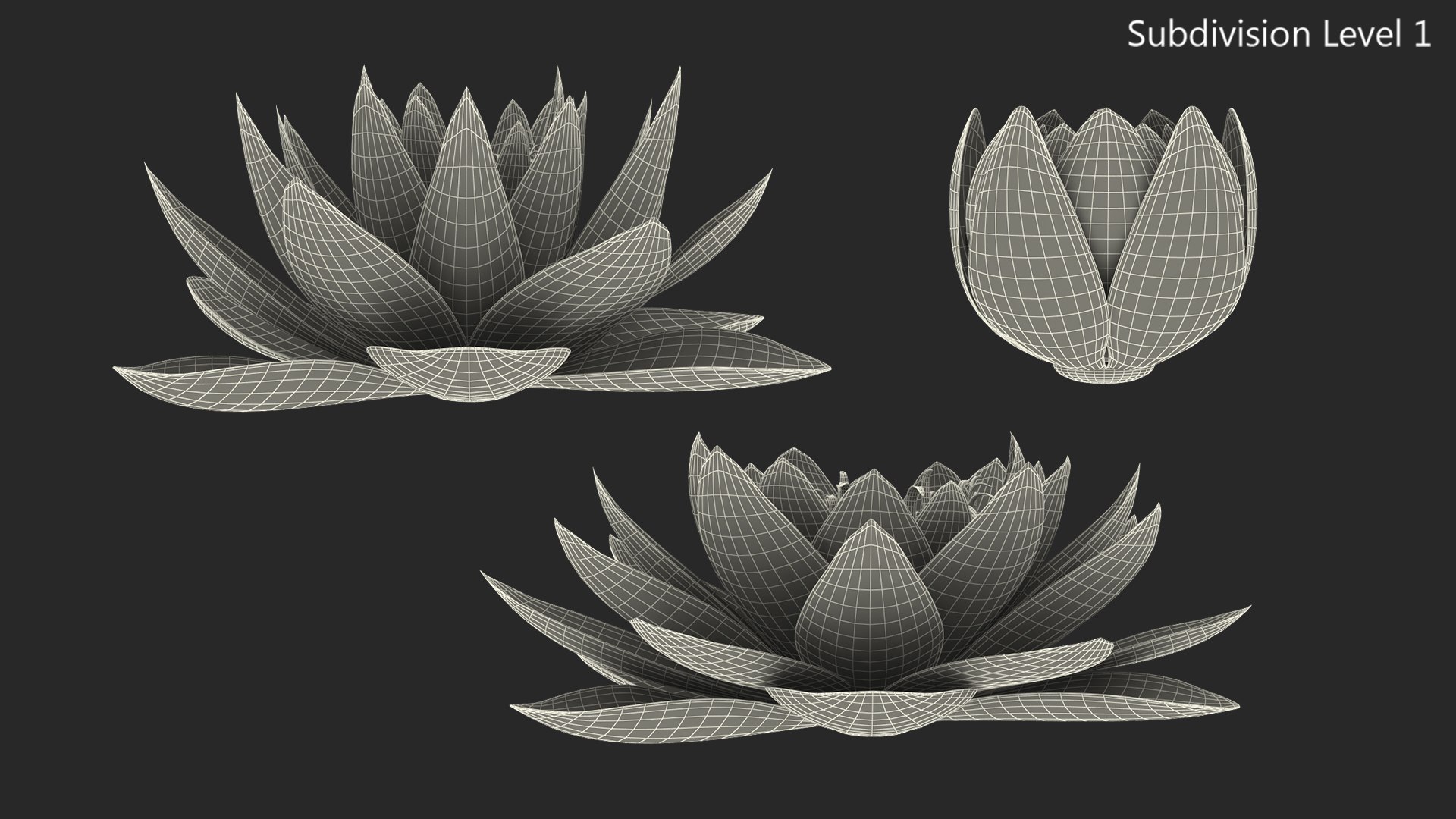 Nymphaea Colorado Pink Lily Kit 3D model https://p.turbosquid.com/ts-thumb/gy/UWVAhQ/H9/nymphaea_colorado_pink_lily_set_0007/jpg/1776912549/1920x1080/fit_q87/bc89ab51b7d86d1ef84fb75ea66e508fa8f0f26a/nymphaea_colorado_pink_lily_set_0007.jpg