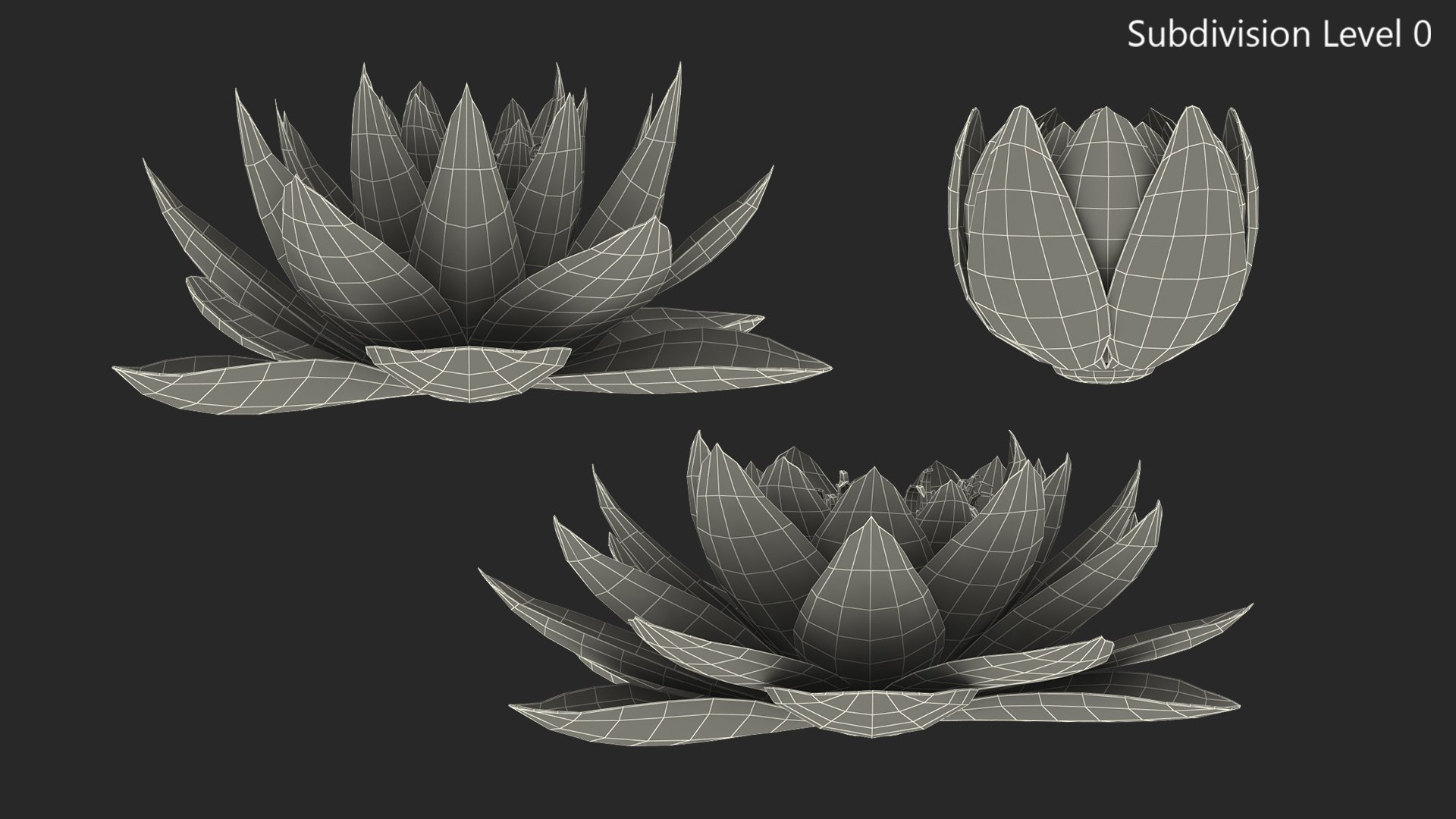 Nymphaea Colorado Pink Lily Kit 3D model https://p.turbosquid.com/ts-thumb/gy/UWVAhQ/IO/nymphaea_colorado_pink_lily_set_0006/jpg/1776912543/1920x1080/fit_q87/16579f4e712eeab148e6cec9f9476a2b4e312b40/nymphaea_colorado_pink_lily_set_0006.jpg