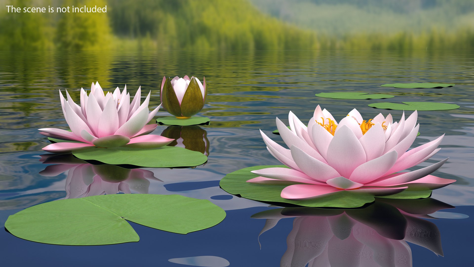 Nymphaea Colorado Pink Lily Kit 3D model https://p.turbosquid.com/ts-thumb/gy/UWVAhQ/Q4/nymphaea_colorado_pink_lily_set_0001/jpg/1776911960/1920x1080/fit_q87/94c347915f6ecd4e1115c07bbaa33e4e56c2fe59/nymphaea_colorado_pink_lily_set_0001.jpg
