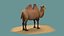 tiere säugetier kamel dromedar lowpoly wüste arabien arabisch ägypten wildlife