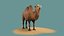 tiere säugetier kamel dromedar lowpoly wüste arabien arabisch ägypten wildlife