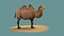 tiere säugetier kamel dromedar lowpoly wüste arabien arabisch ägypten wildlife