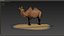 tiere säugetier kamel dromedar lowpoly wüste arabien arabisch ägypten wildlife