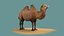 tiere säugetier kamel dromedar lowpoly wüste arabien arabisch ägypten wildlife