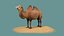 tiere säugetier kamel dromedar lowpoly wüste arabien arabisch ägypten wildlife