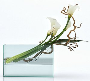 white callas square vase model