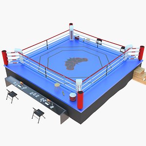 Professional Boxing Ring