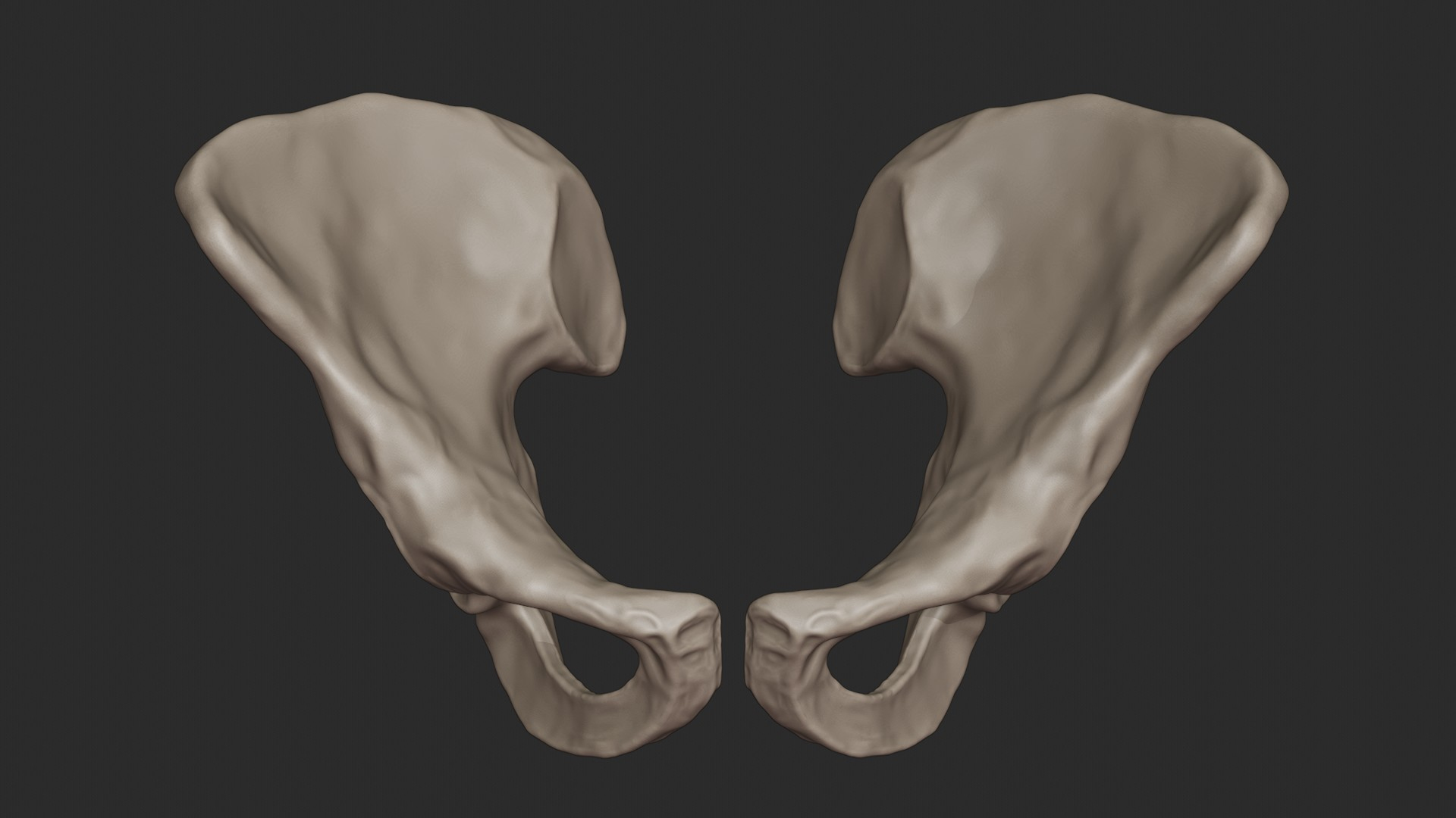 3D skeletal torso model https://p.turbosquid.com/ts-thumb/gz/JkoTcg/AextTOJa/pelvis/jpg/1569424599/1920x1080/turn_fit_q99/99db718a9b9bd26ae4802018ea7b8739c17907e9/pelvis-1.jpg