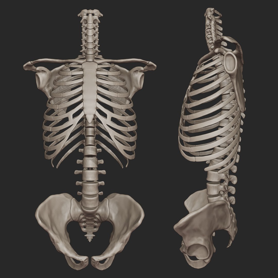 ホットトイズ MMS667 668明日戦記 EXO-SKELETON 強化外骨格 ホットトイズ MMS667 668明日戦記 EXO-SKELETON 強化外骨格