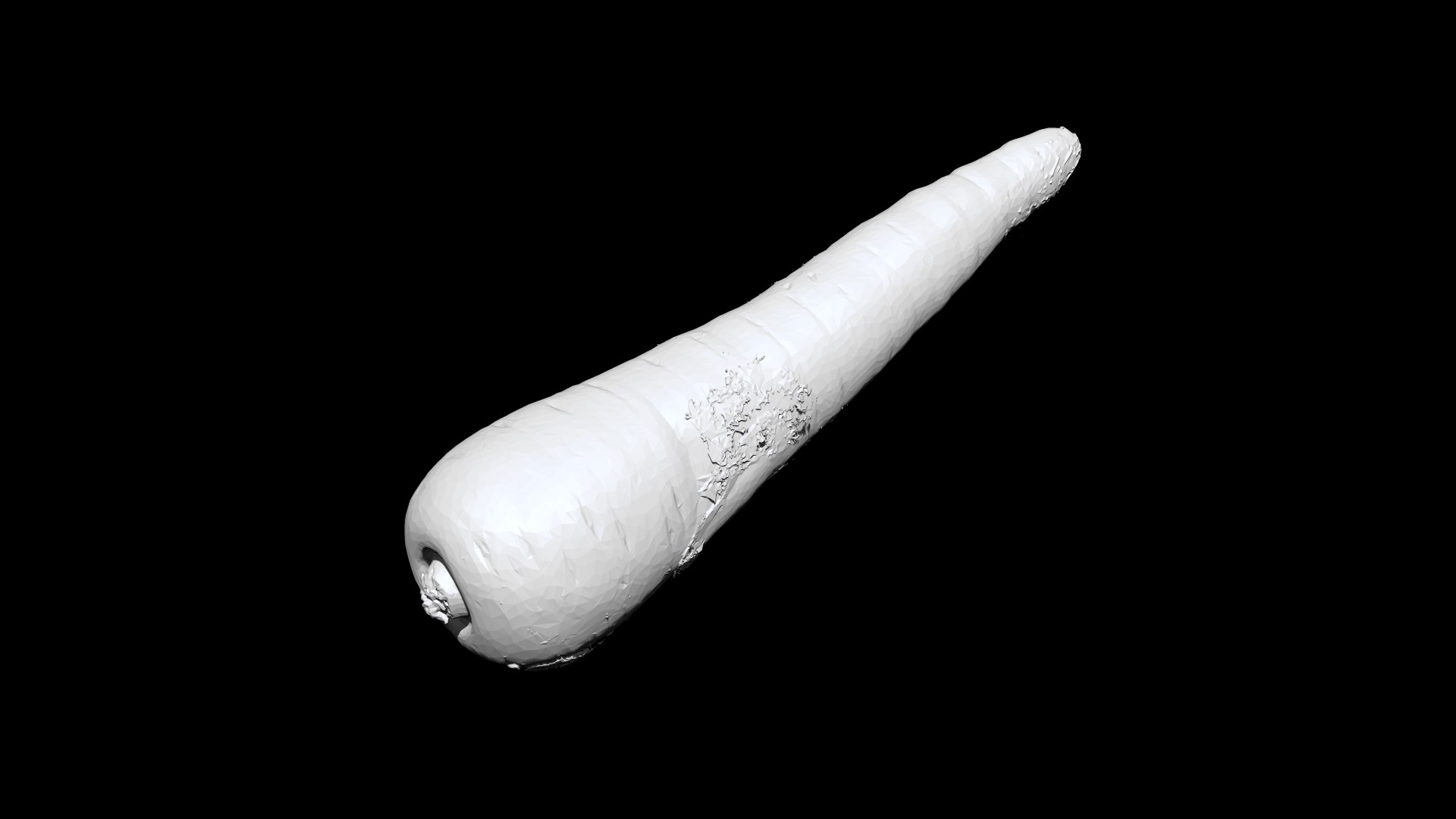 3D Carrot CT scan model decimate 3 percent model https://p.turbosquid.com/ts-thumb/gz/LGufc4/tQ/2/png/1655341660/1920x1080/fit_q87/819db4f0f95add81ebf29575f9277c83da0f93e6/2.jpg