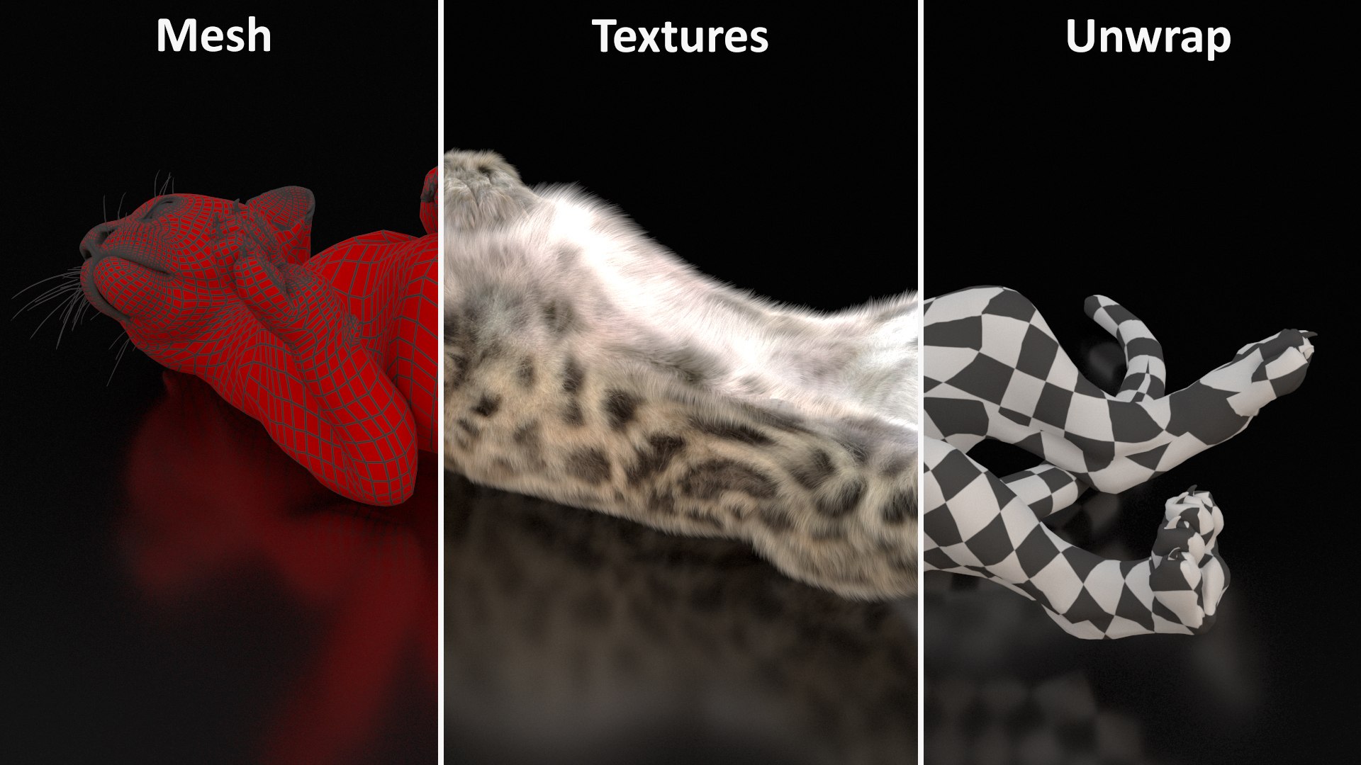 Snow Leopard Cub in Lying Playful Pose Fur for Cinema 4D model https://p.turbosquid.com/ts-thumb/gz/TwCFQa/42/snow_leopard_cub_in_lying_playful_pose_fur_012/jpg/1750034507/1920x1080/fit_q87/dc866c21e277042c0286f988d233d144593d531b/snow_leopard_cub_in_lying_playful_pose_fur_012.jpg