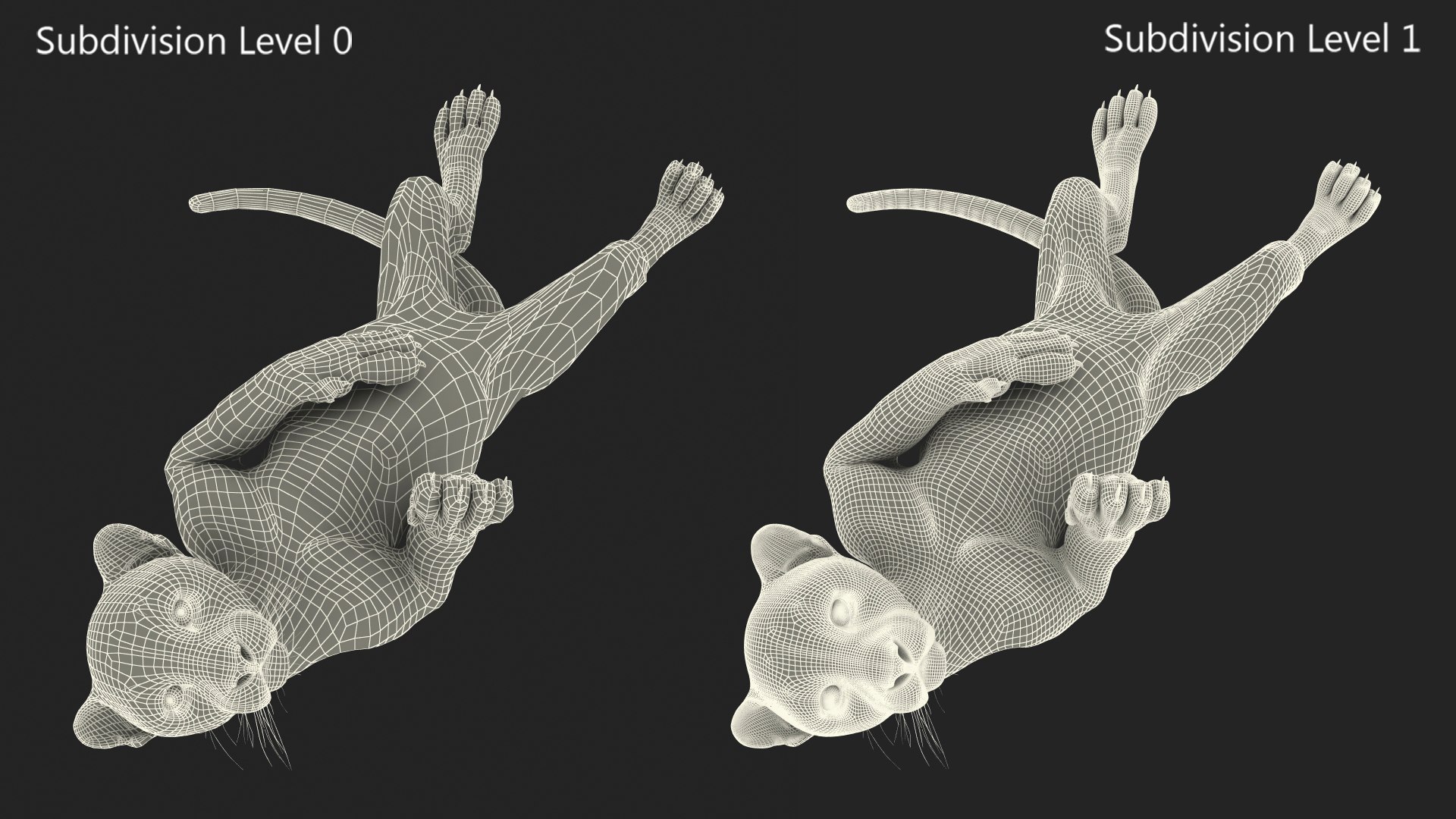 Snow Leopard Cub in Lying Playful Pose Fur for Cinema 4D model https://p.turbosquid.com/ts-thumb/gz/TwCFQa/72/snow_leopard_cub_in_lying_playful_pose_fur_013/jpg/1750034511/1920x1080/fit_q87/0781dacbccb2a9506747418ab08a61f64c1c54ee/snow_leopard_cub_in_lying_playful_pose_fur_013.jpg